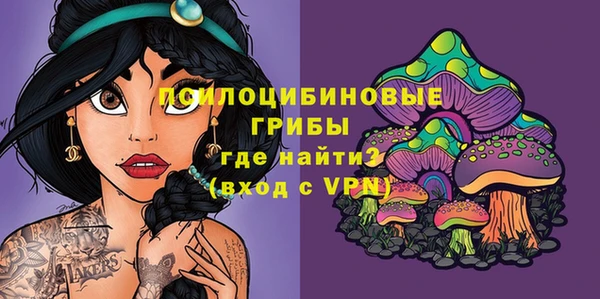 бутират Баксан
